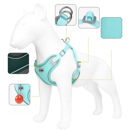 Breathable Mesh Harness & Leash Set