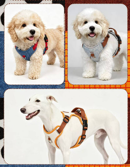 Reflective Patchwork Harness & Leash Set