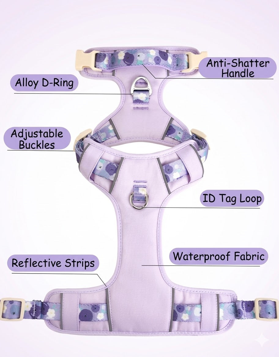 Floral Harness & Leash Set