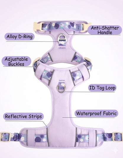 Floral Harness & Leash Set