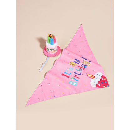 Birthday Bandana & Hat Set