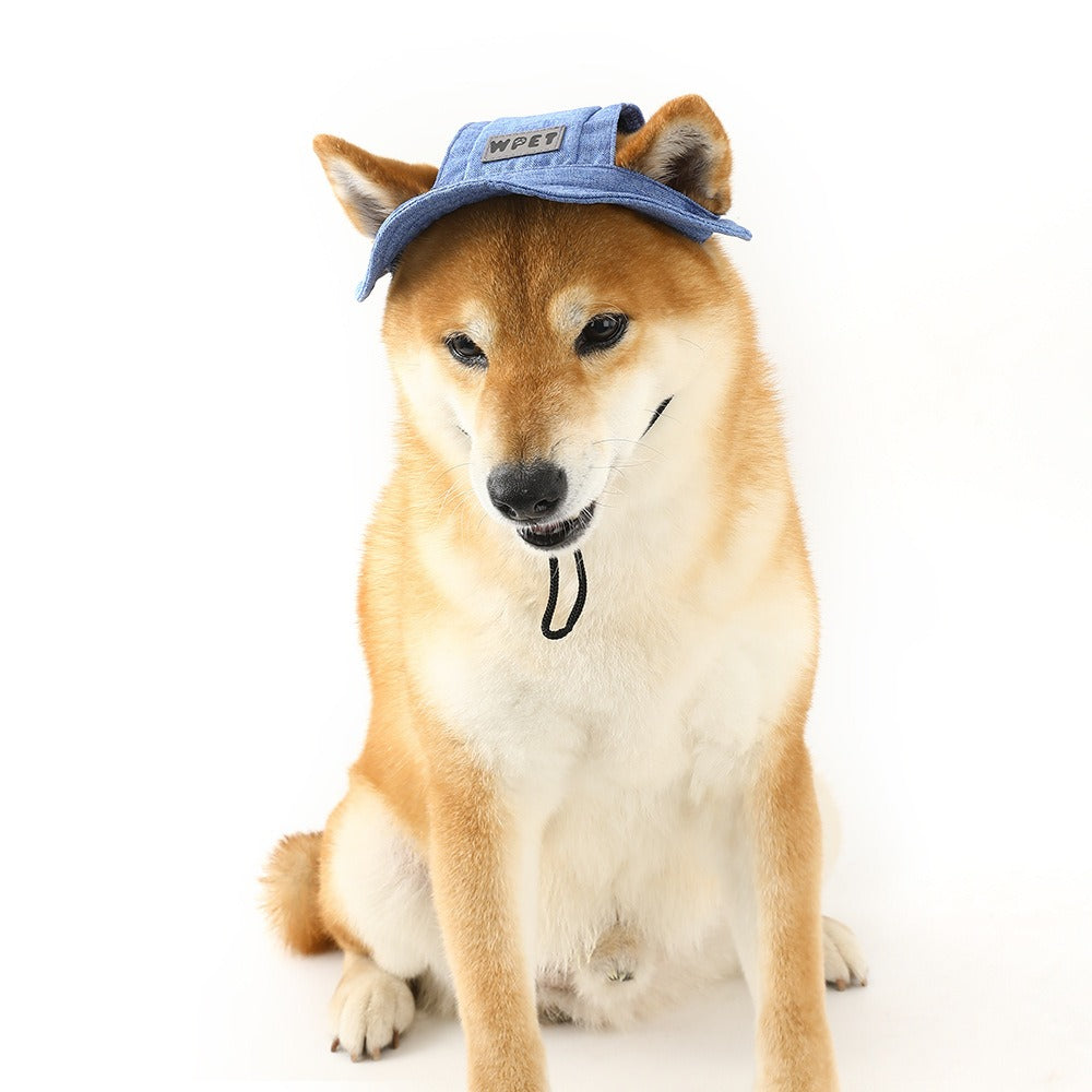 Denim Style Dog Hat