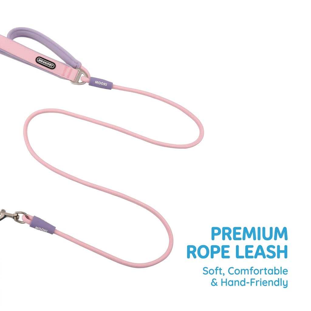 Geometric Color-Block Dog Leash
