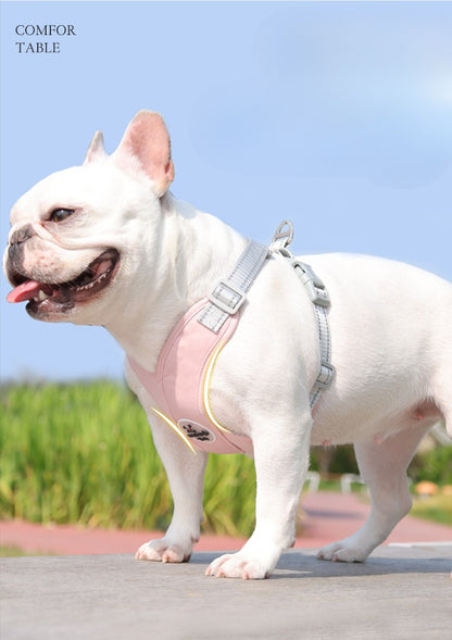 Reflective Mesh Harness & Leash Set