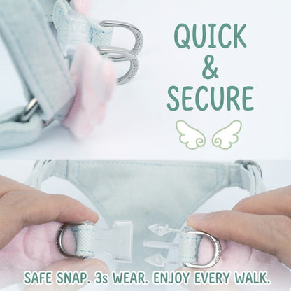 Angel Wing Harness & Leash Set