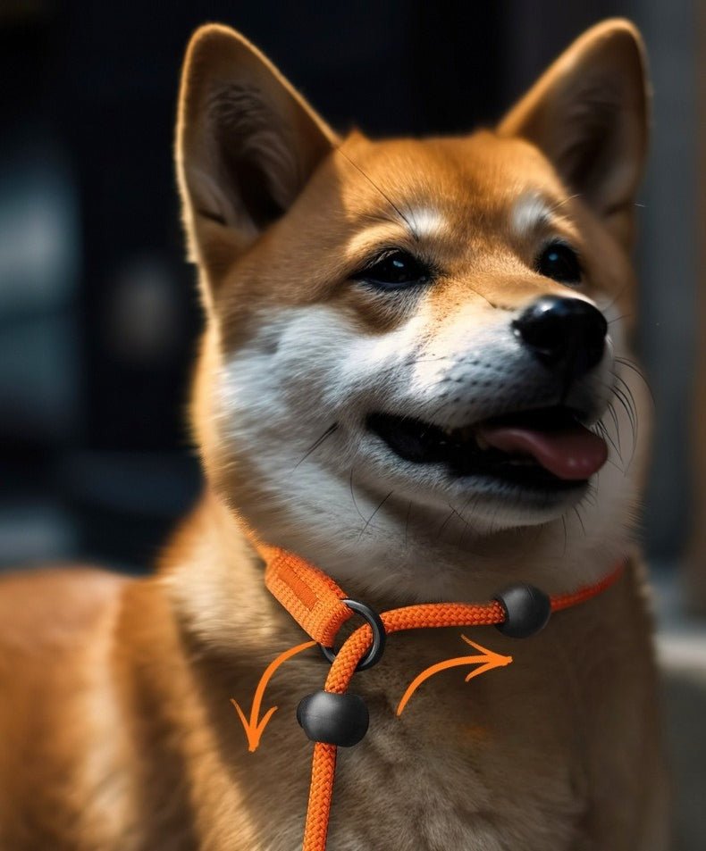 Braided Slip Lead Dog Leash