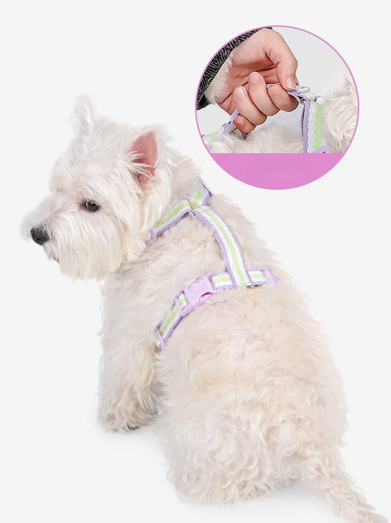 Breathable Mesh Harness & Leash Set