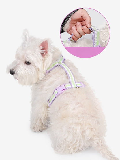 Breathable Mesh Harness & Leash Set