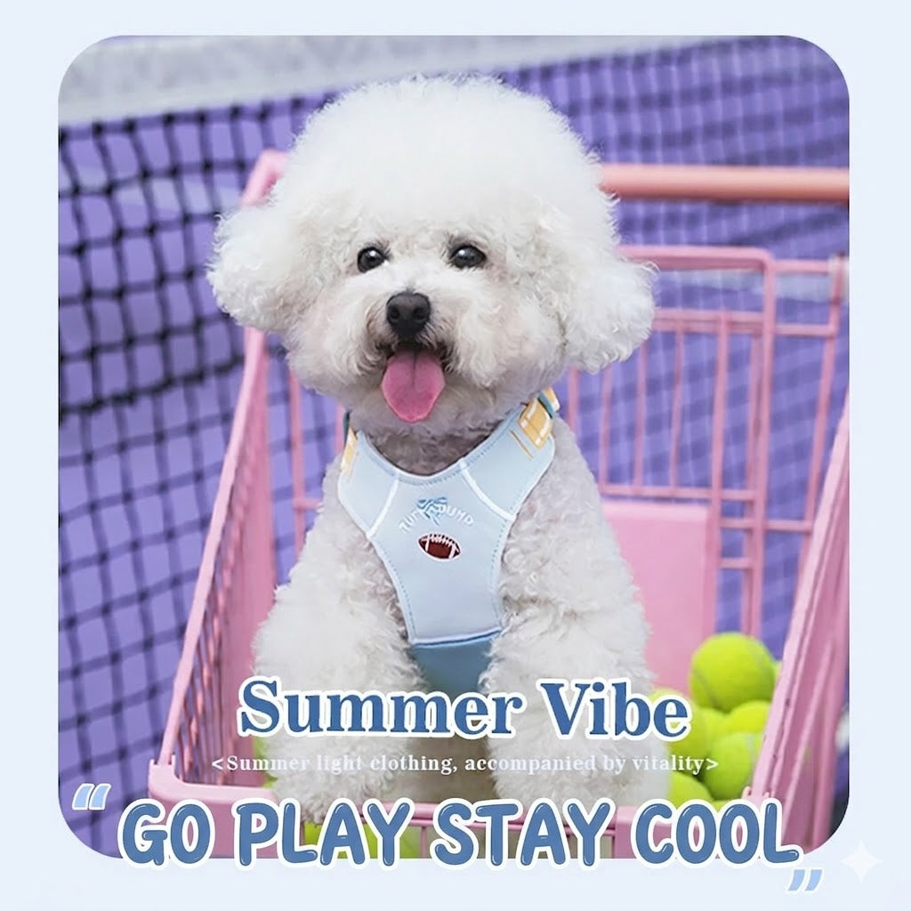 Sporty Mesh Dog Harness