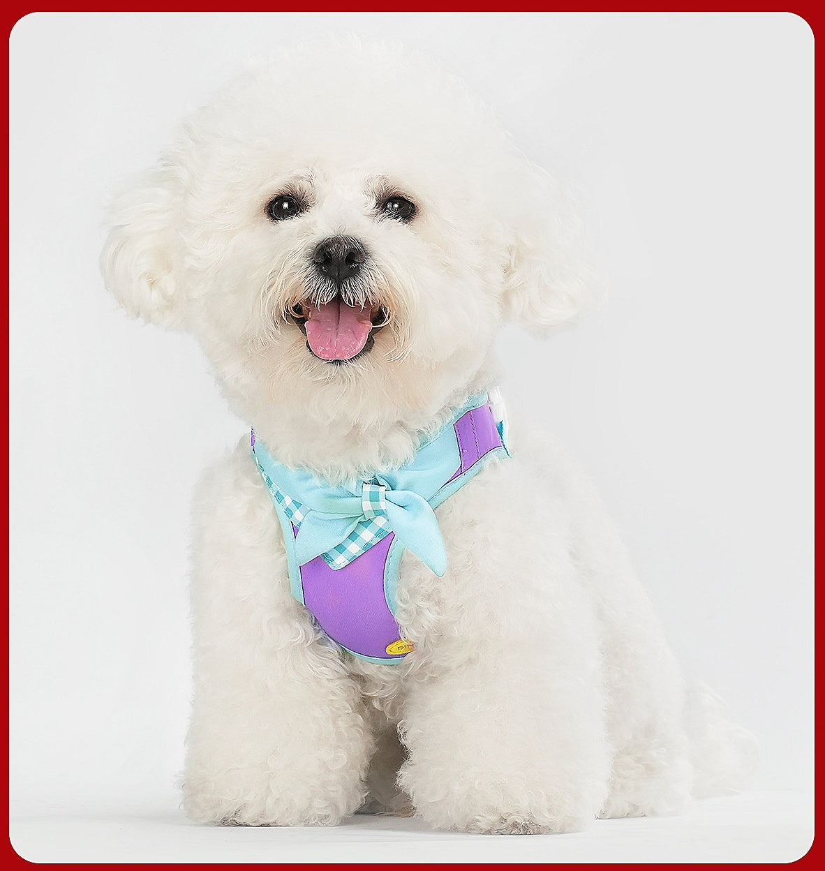 Plaid Bow Harness & Leash Set