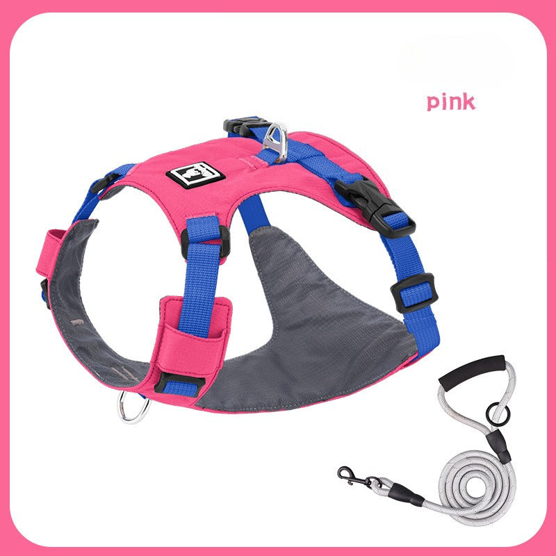 Lightweight Harness & Leash Set