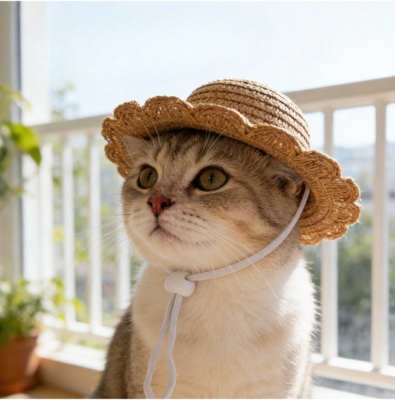 Woven Straw Dog Hat