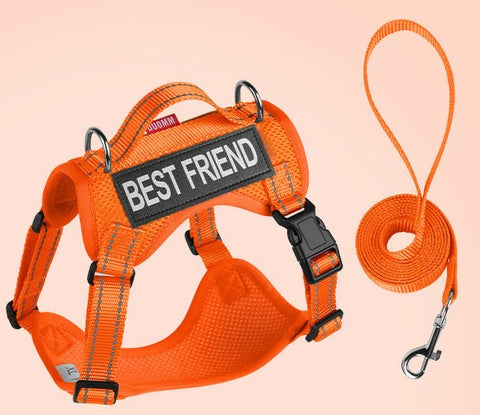 Reflective Mesh Harness & Leash Set