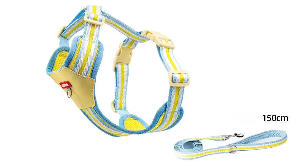 Breathable Mesh Harness & Leash Set