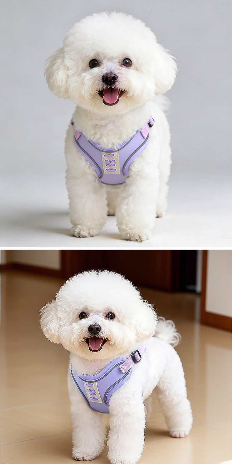 Reflective Mesh Harness & Leash Set