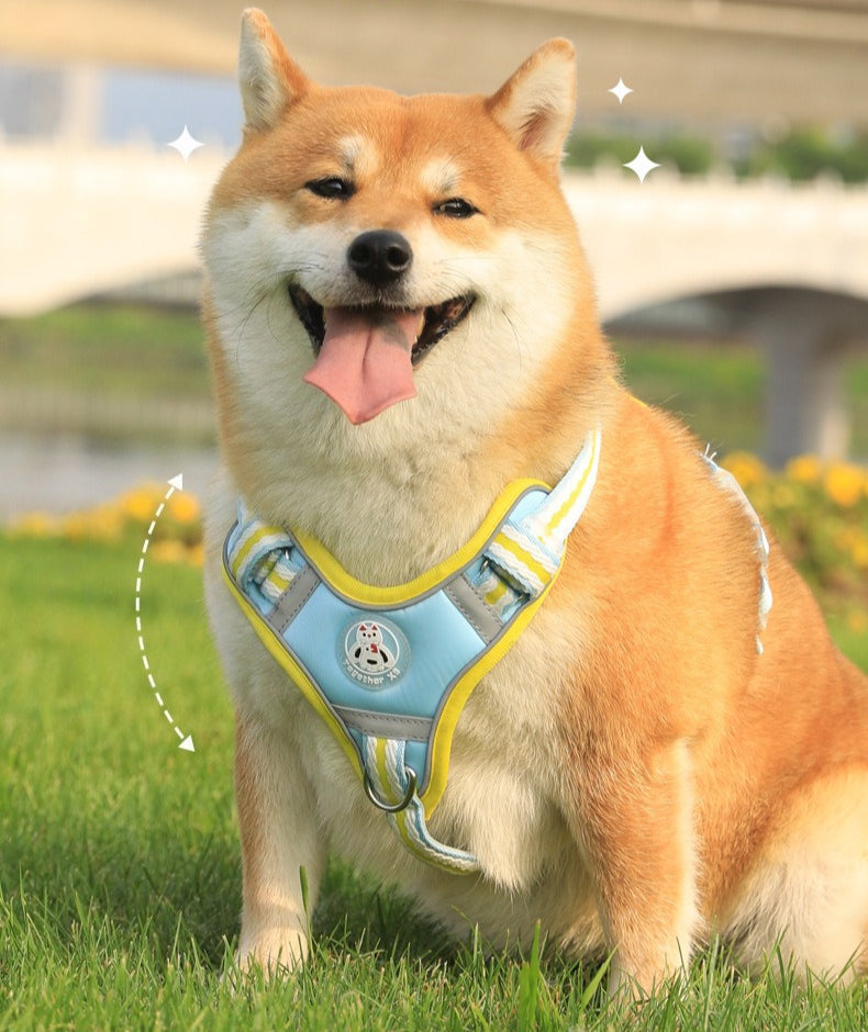 Breathable Mesh Harness & Leash Set