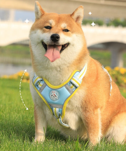 Breathable Mesh Harness & Leash Set