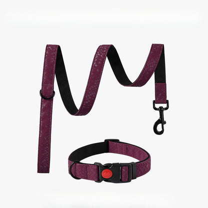 Snake Pattern Collar & Leash Set