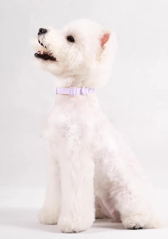 Waterproof Dog Collar Set