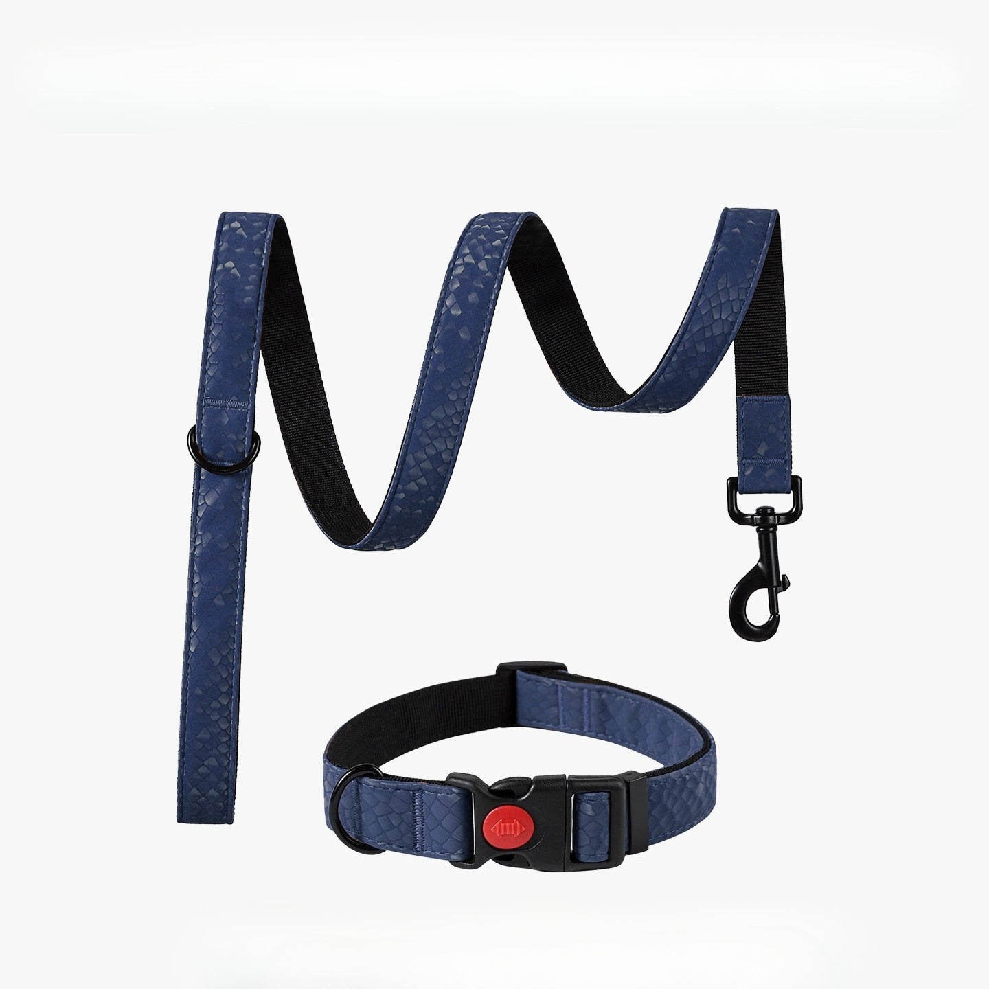 Snake Pattern Collar & Leash Set