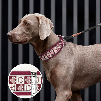 Reflective Wide Padded Dog Collar