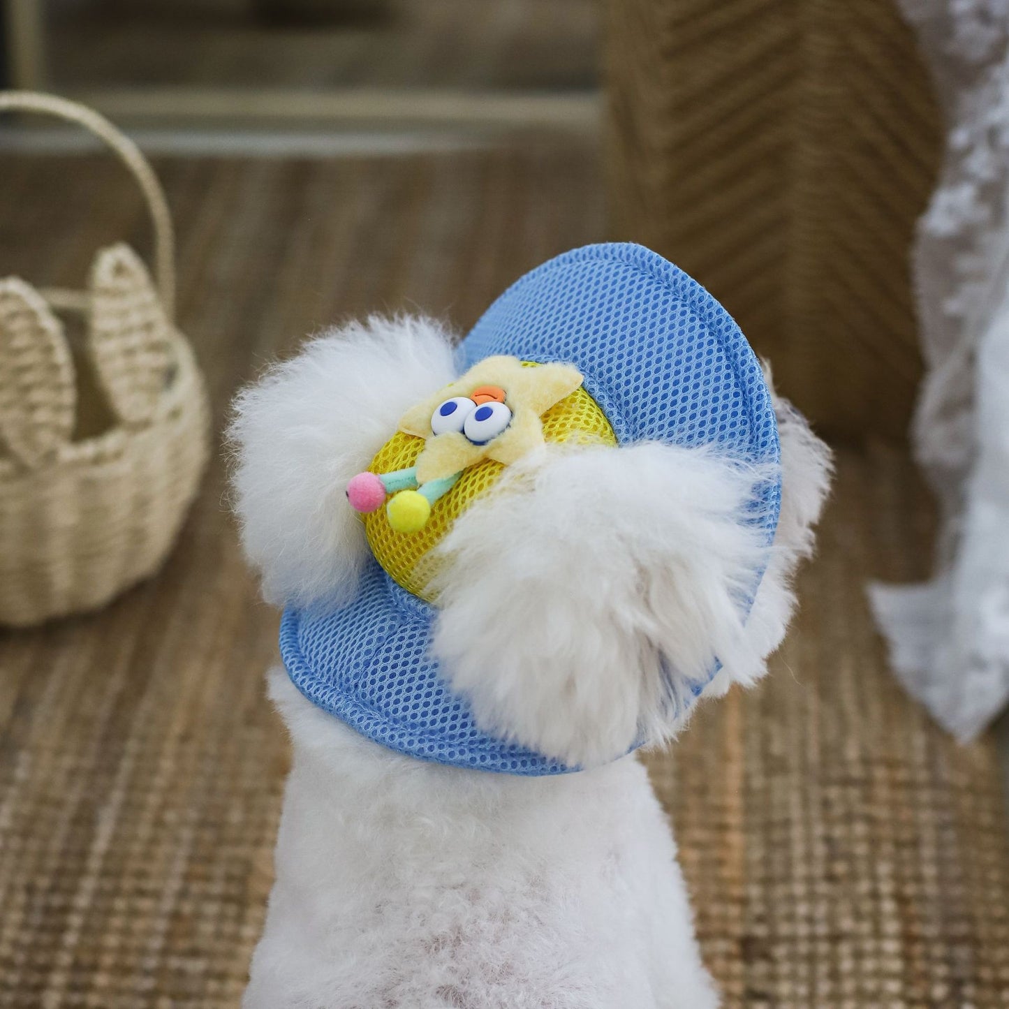 Cartoon Star Mesh Dog Hat