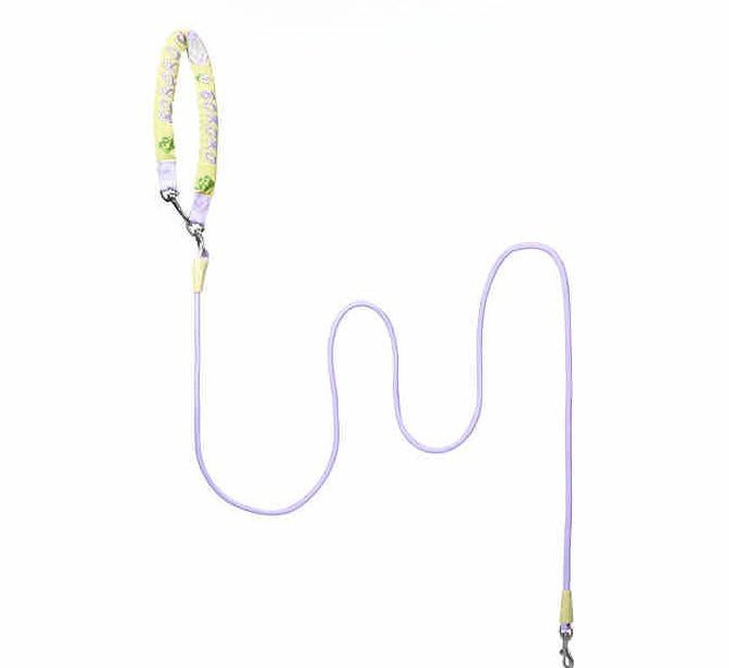 Embroidered Training Slip Dog Leash