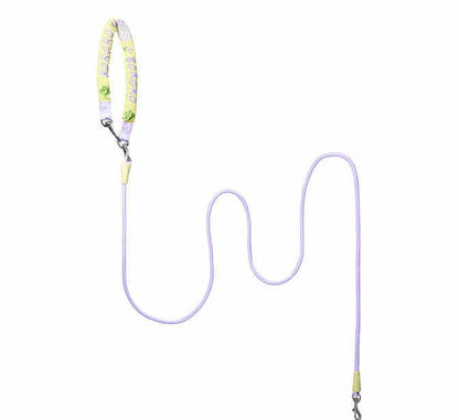 Embroidered Training Slip Dog Leash