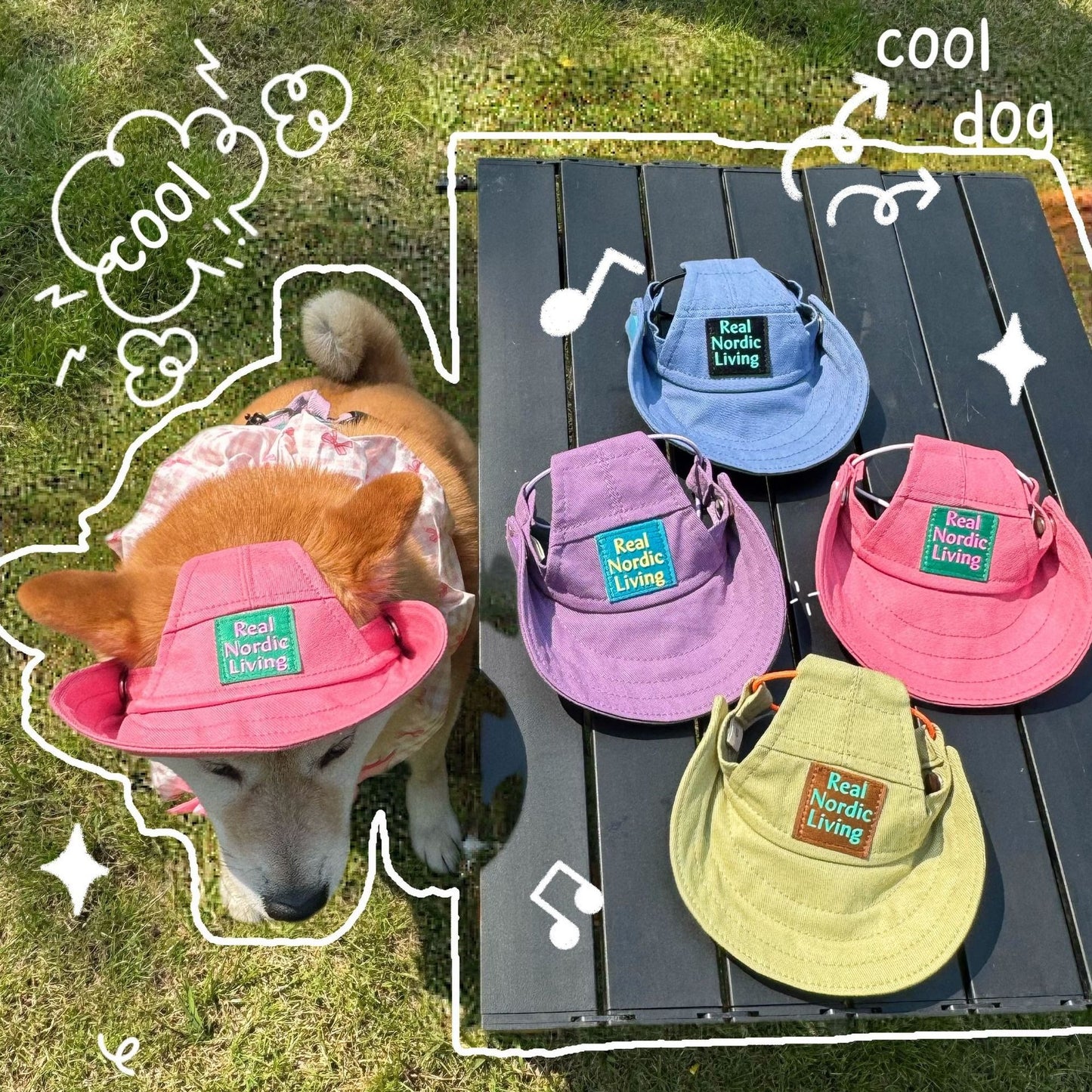 Breathable Sun Protection Dog Hat