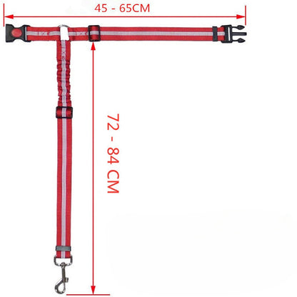 Elastic Bungee Safety Leash for Dogs – Multi-color