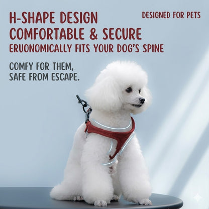 Reflective Breathable Harness & Leash Set