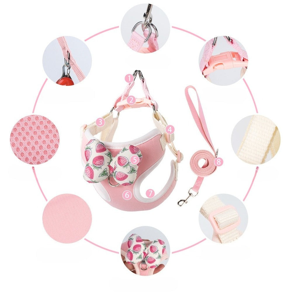 Fruit Pattern Harness & Leash Set