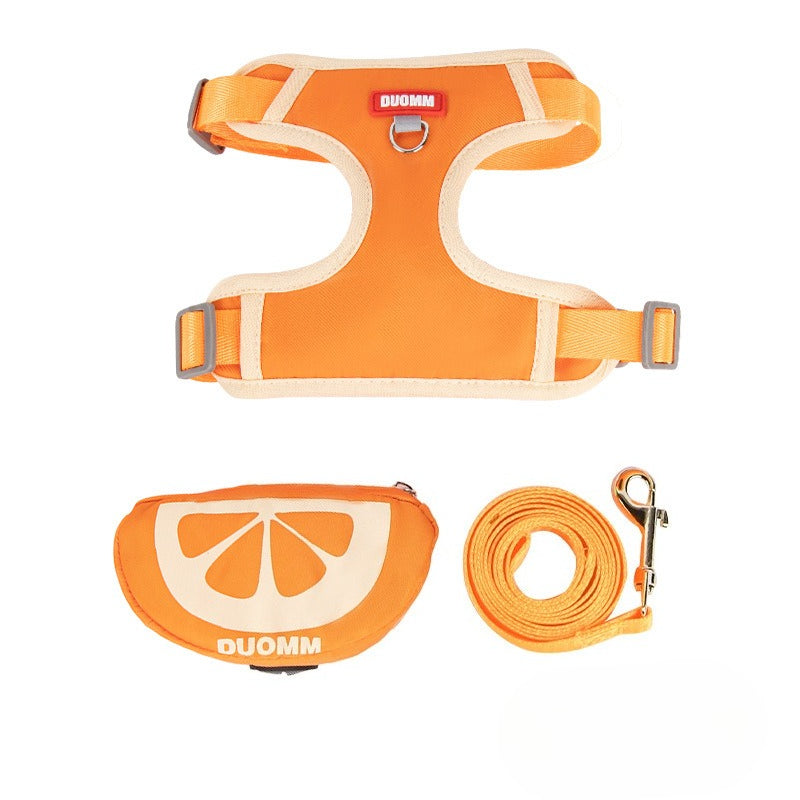 Fruit Pattern Harness, Leash & Backpack Set