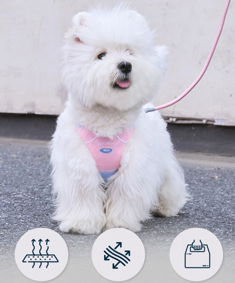 Sports Print Harness & Leash Set