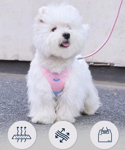 Sports Print Harness & Leash Set