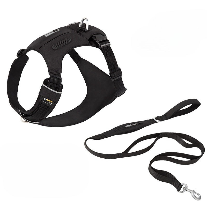 Hidden Pocket Harness & Leash Set