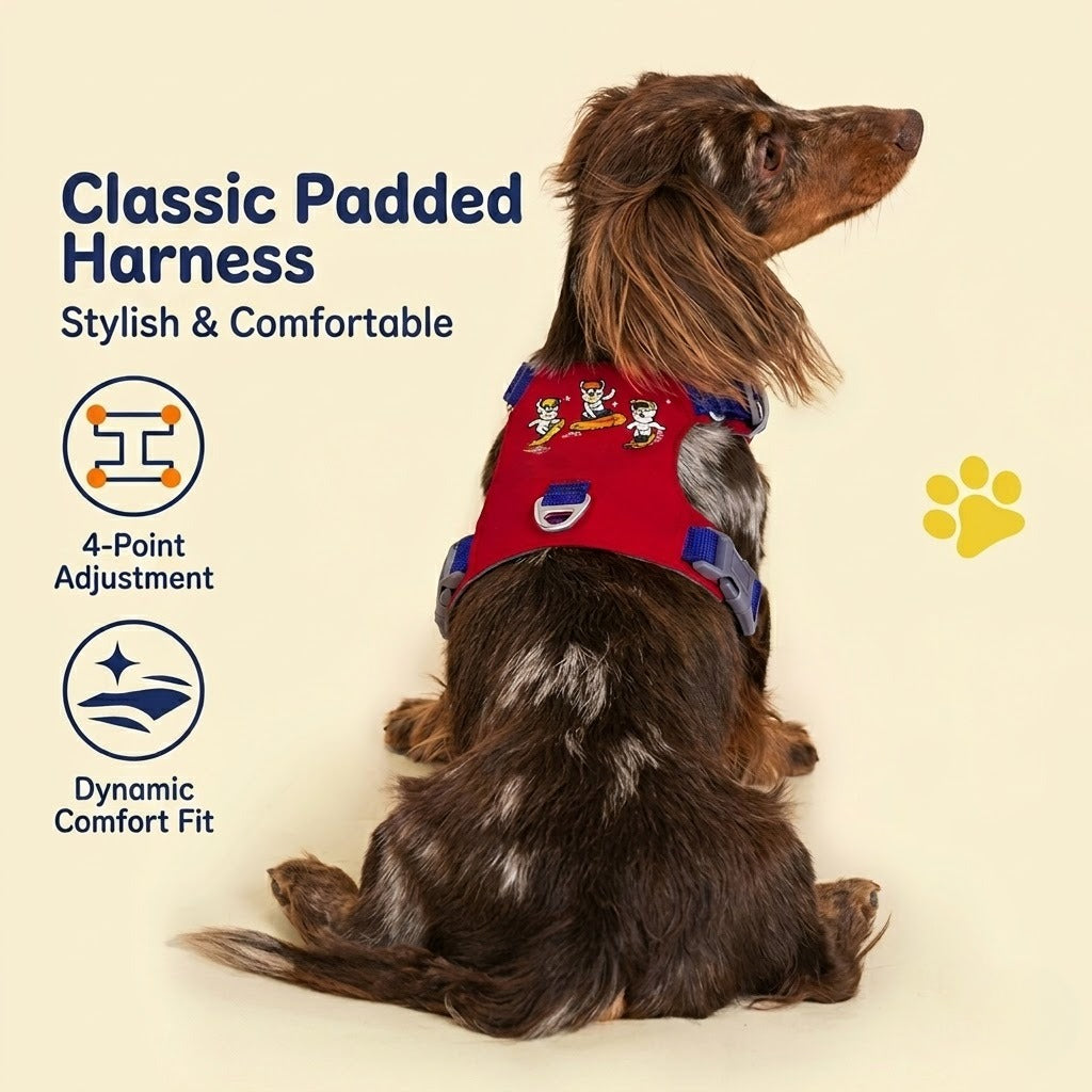 Embroidered Harness & Leash Set