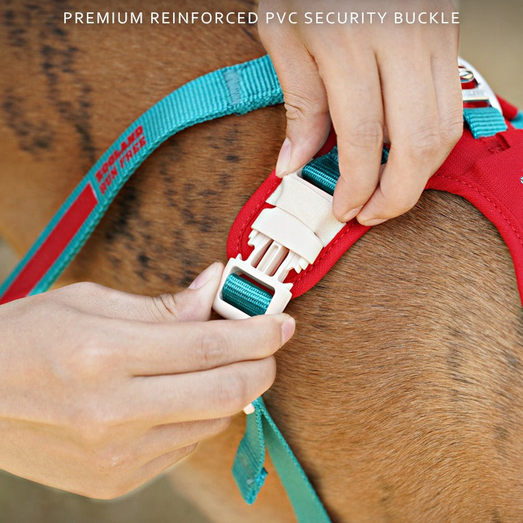 Pop Art Harness & Leash Set