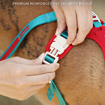 Pop Art Harness & Leash Set