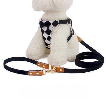 Checkered Harness & Leash Set