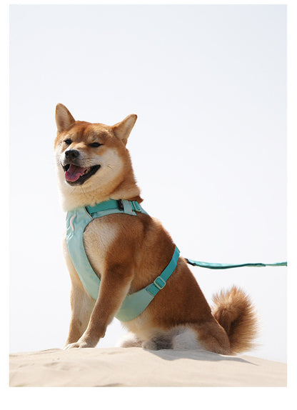 Hidden Pocket Harness & Leash Set