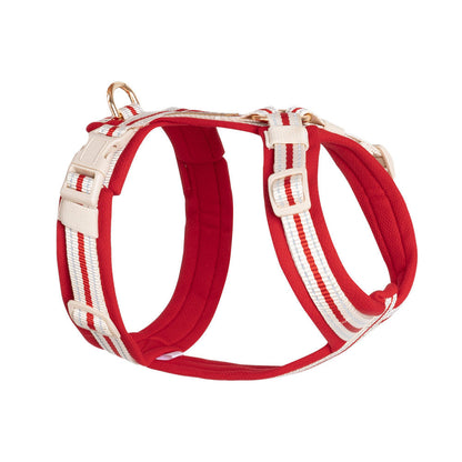 Reflective Y-Shaped Dog Harness