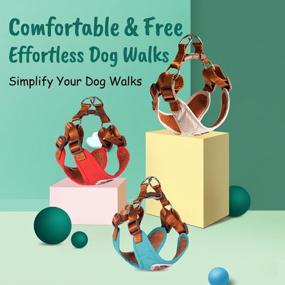 Breathable Mesh Harness & Leash Set