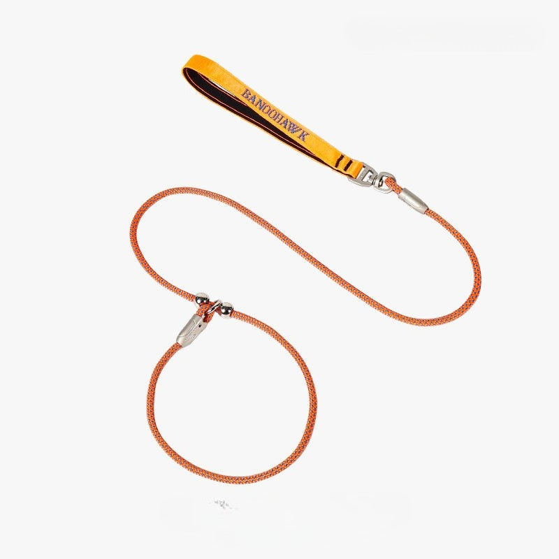 Braided Training Leash for Dogs – Multi