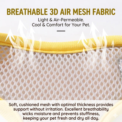 Reflective Mesh Harness & Leash Set