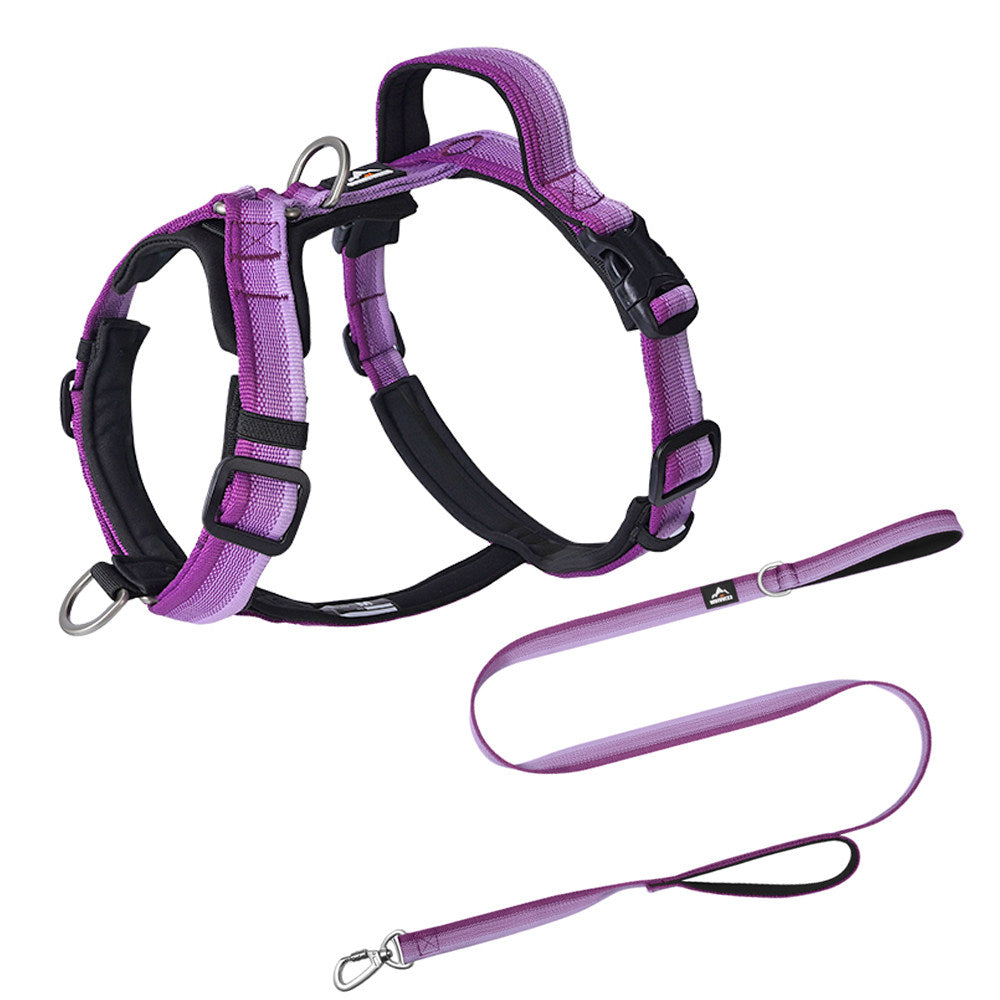 Gradient Harness & Leash Set