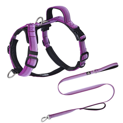 Gradient Harness & Leash Set