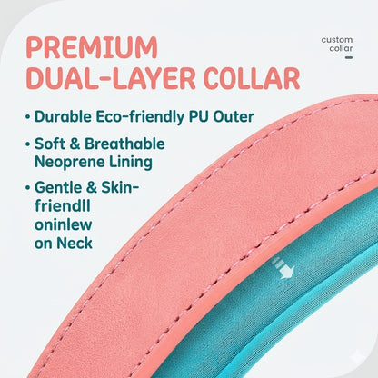 Personalized Dog Collar & Leash Set