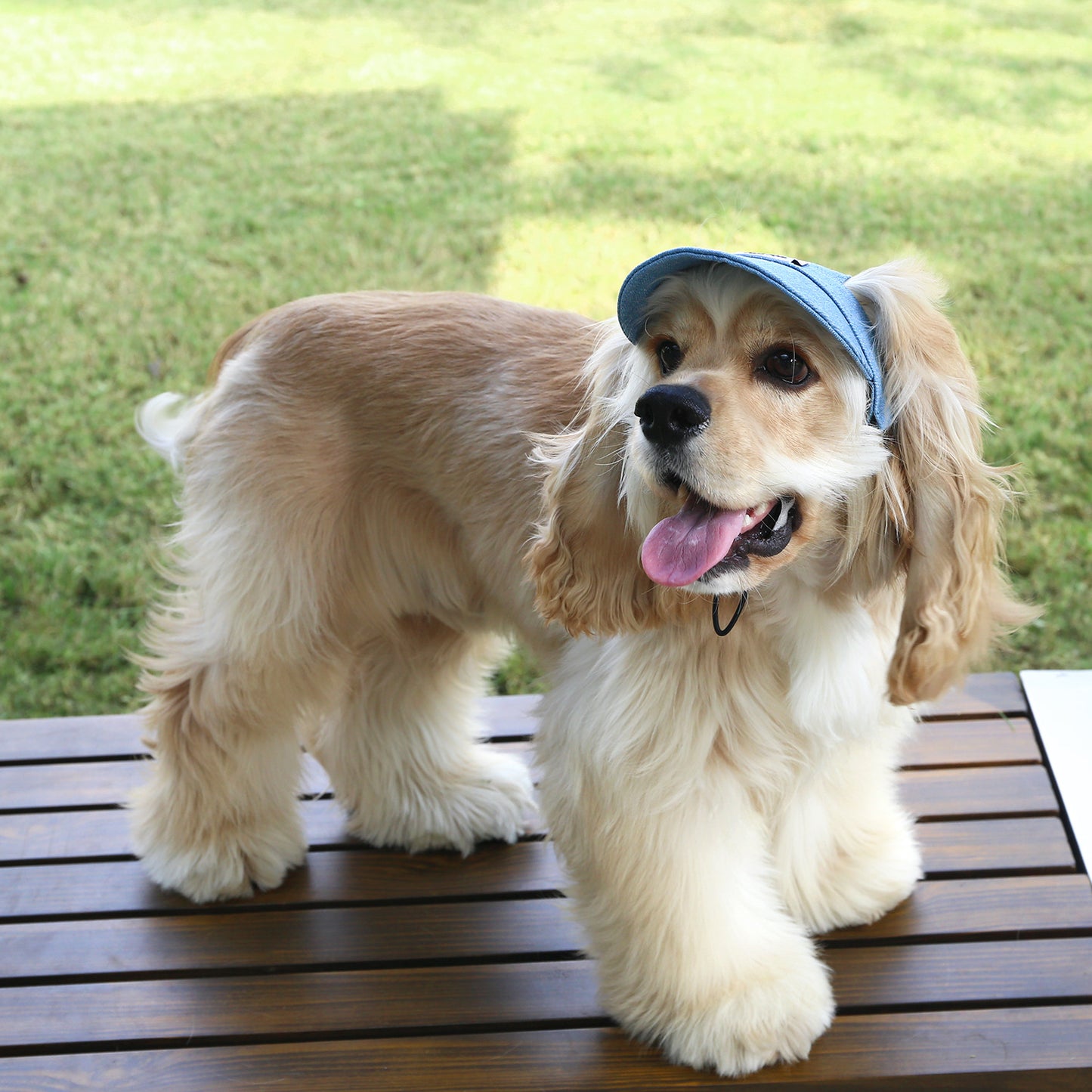 Adjustable Sun Protection Dog Hat