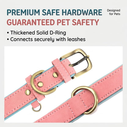 Personalized Dog Collar & Leash Set